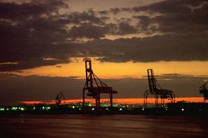 全ゲノム解析は理研ジェネシスで