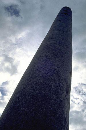 贅沢な料理を彩る特別な輝き！金箔の魅力と活用法を徹底解説