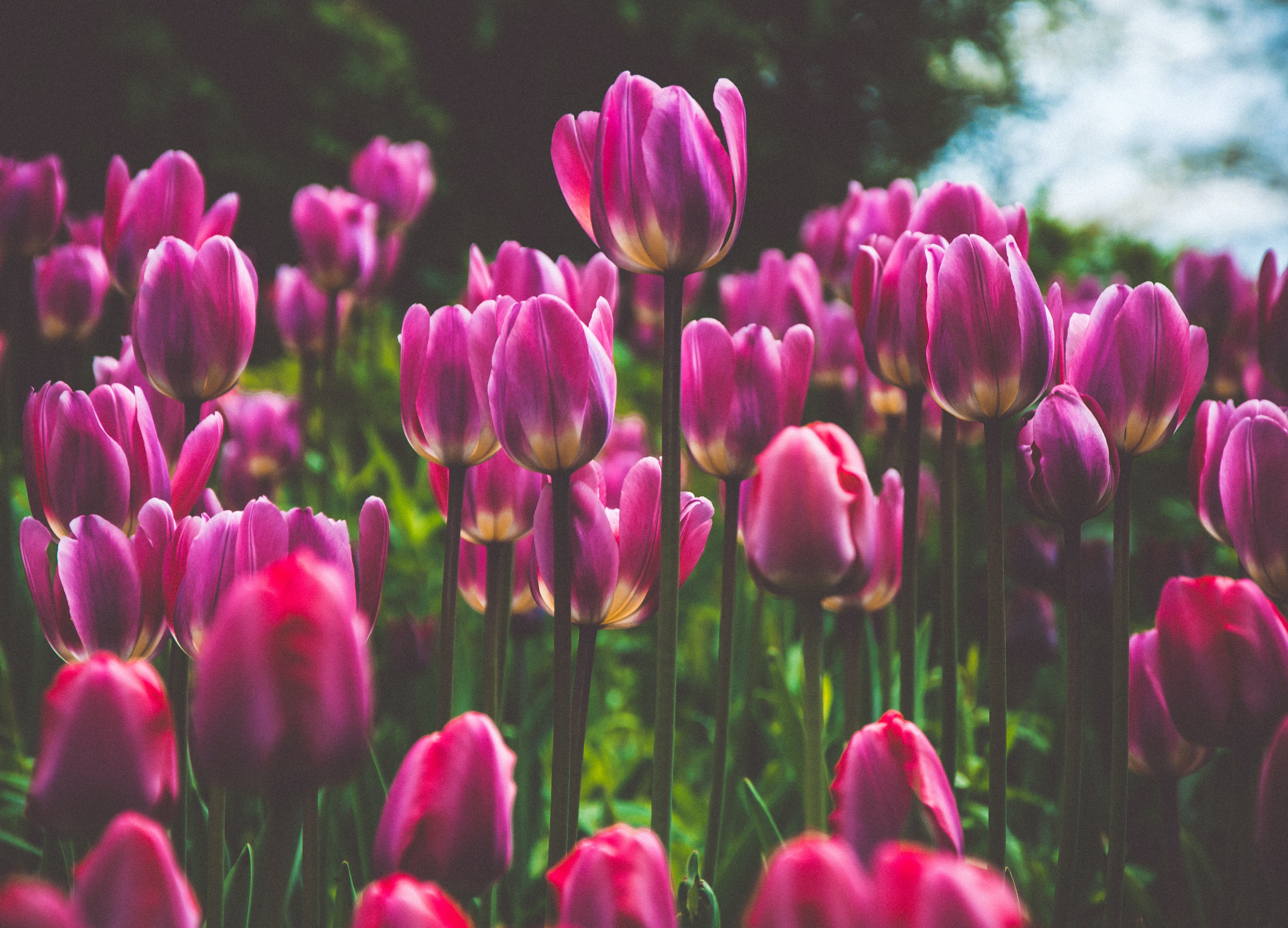 暮らしを便利にする機械工学